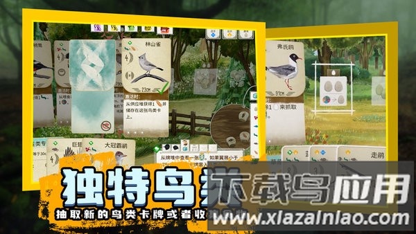 鸟类观察家游戏截图