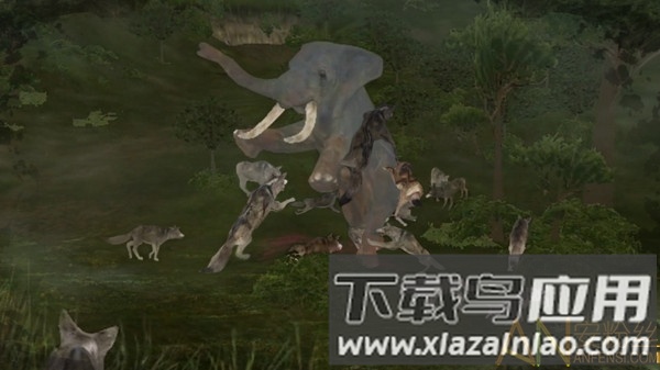 野生动物丛林法则游戏最新版截图3