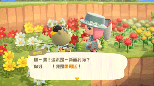 动物森友会官方正版