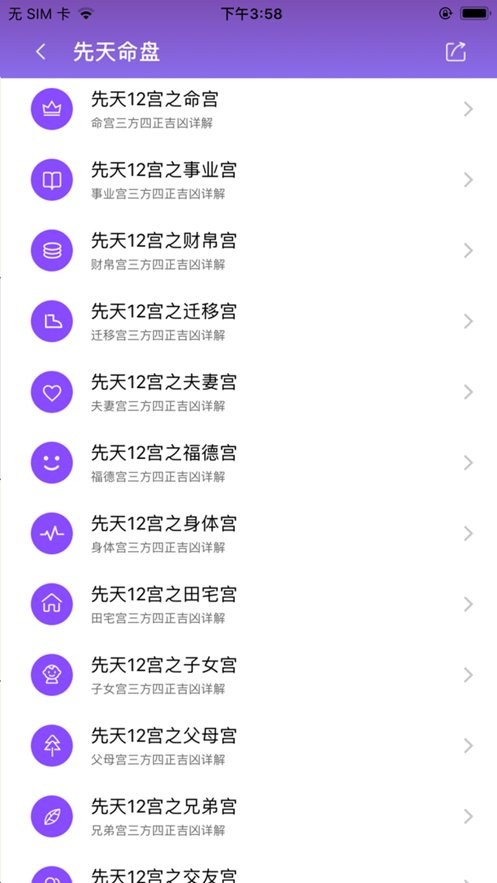紫微斗数软件最新版截图3