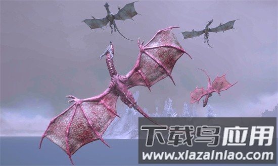 龙飞行模拟器新版截图