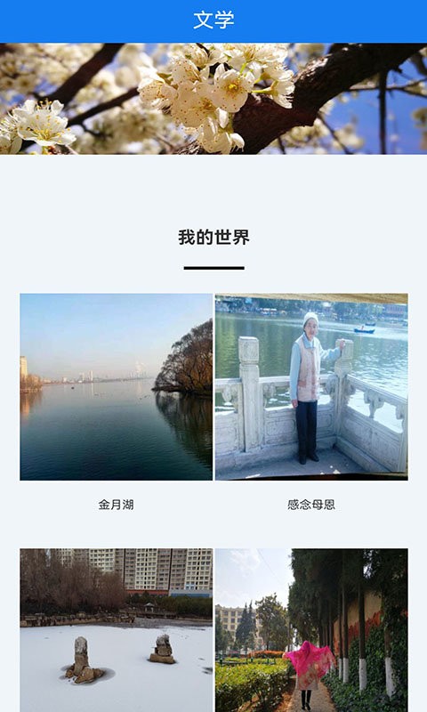 宣威之窗软件最新版截图4