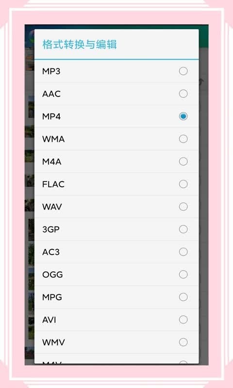 视音格式转换官方版