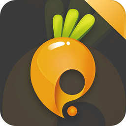 萝卜玩app官方版