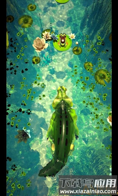 青蛙快跑游戏最新版截图3