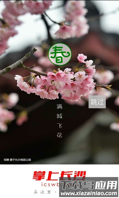 长沙晚报掌上长沙手机客户端截图4