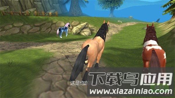 马儿天堂游戏汉化版(Horse Paradise)截图