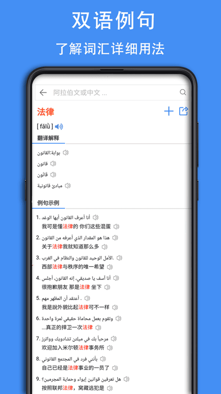 阿拉伯语词典软件下载