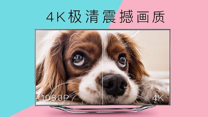 CIBN4K花园官方app最新版截图1