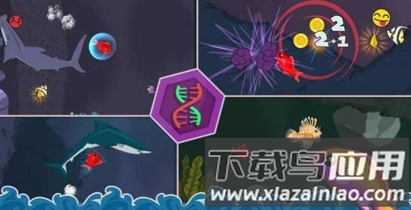 饥饿的小红鱼官方正版最新版截图3