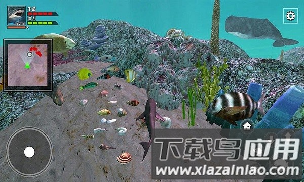 饥饿大白鲨最新版最新版截图1