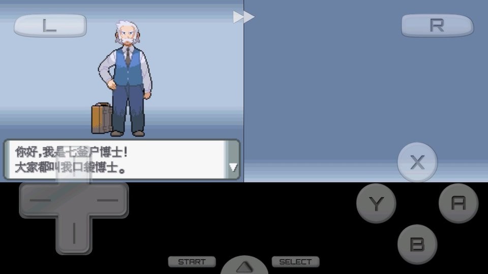 口袋妖怪钻石手机版本最新版截图1