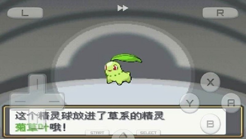 口袋妖怪心金中文版最新版截图1