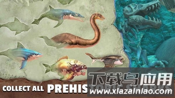 饥饿鲨史前世界最新版本(HSP)截图