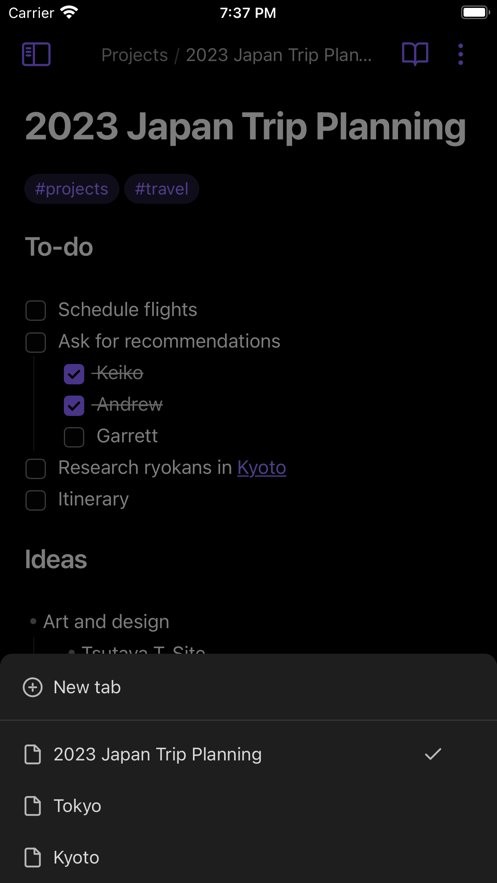 obsidian笔记软件最新版截图2