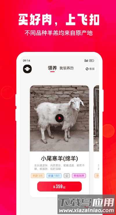 飞扣牧场最新版最新版截图4