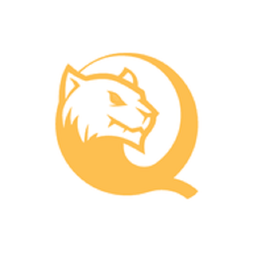 黑豹保险箱官方版