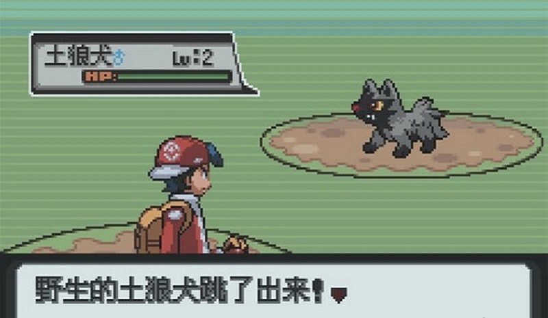 口袋妖怪白金官方正版最新版截图2