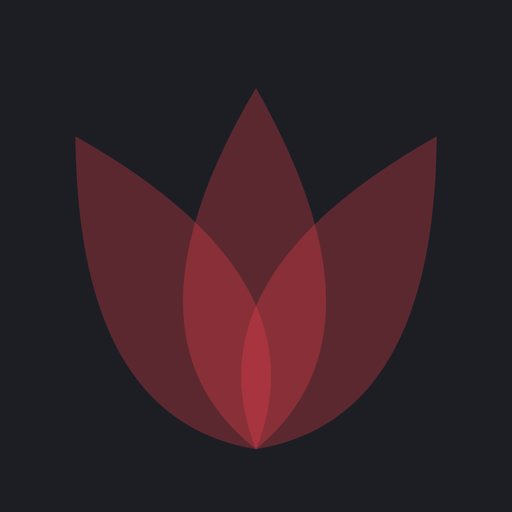 小红背单词最新版