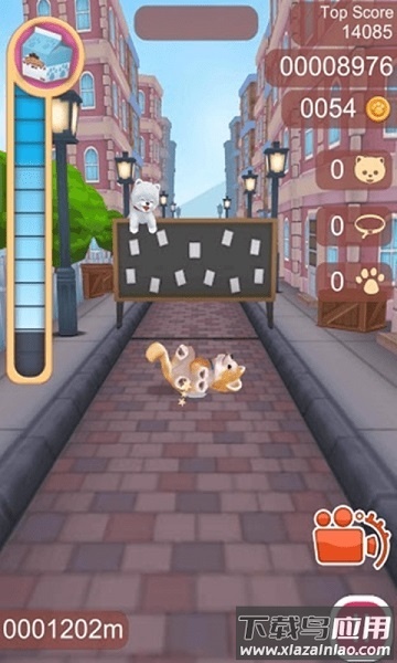 柴犬部队最新版最新版截图3