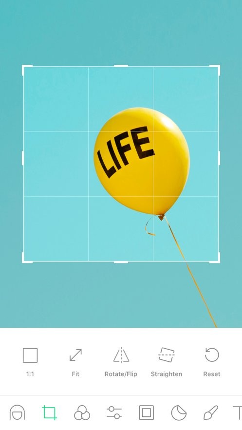LINE Camera小熊相机中文版截图3
