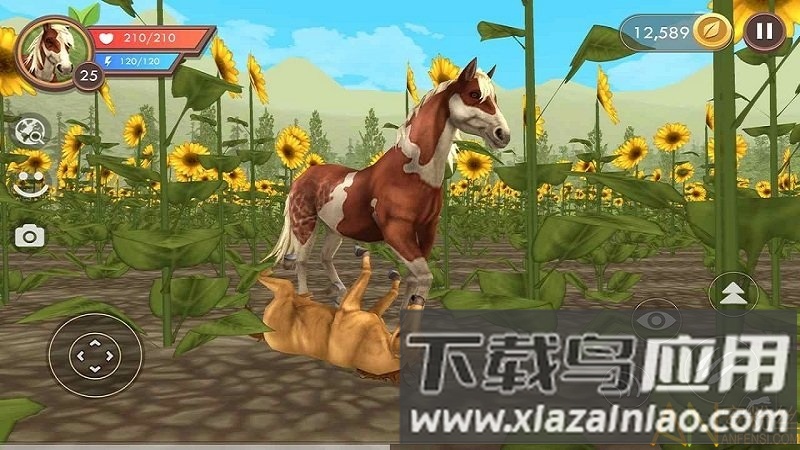 野生动物模拟器正版下载