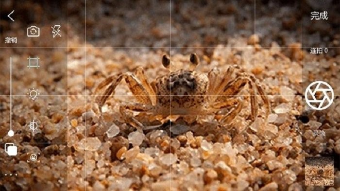 逐帧播放器手机版