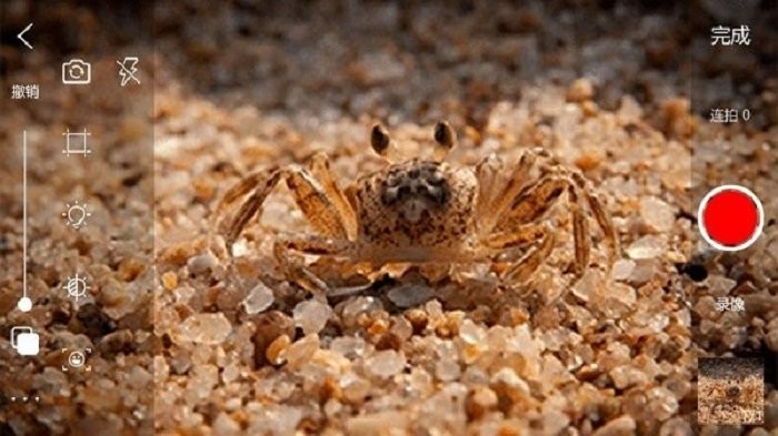 逐帧播放器(frame advance)最新版截图3