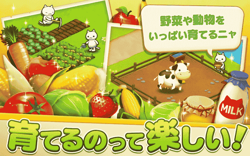 星星岛猫咪下载