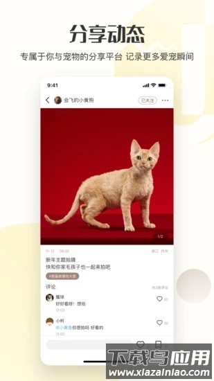 集宠区软件下载