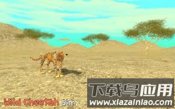 野生猎豹模拟3d手机版最新版截图1