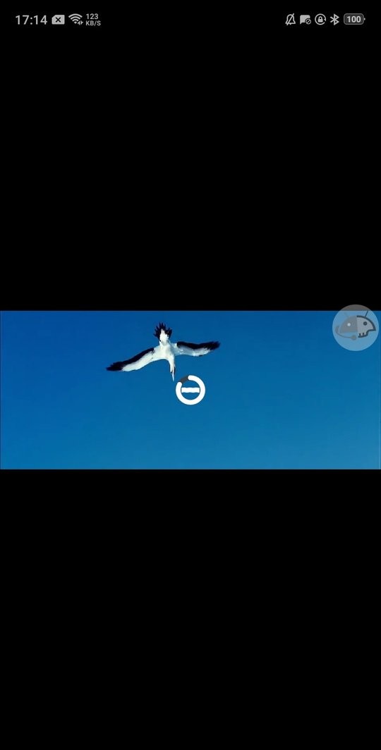 盒子视频播放器app最新版截图2