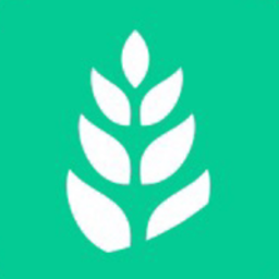 青麦影视官方版