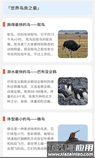 青鸟看看手机版最新版截图3