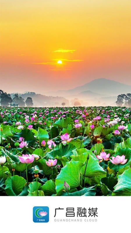 广昌融媒手机版最新版截图2