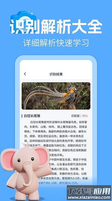 动物百科大全官方版最新版截图3