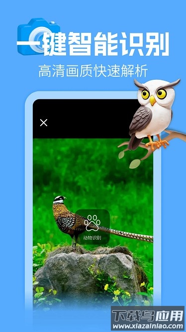 动物百科大全官方版最新版截图4