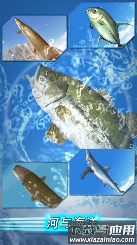 钓鱼季节手机版下载