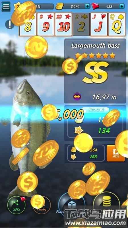钓鱼季节游戏截图
