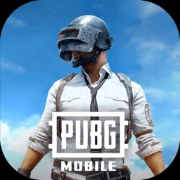 pubg国际服低配版2025最新版
