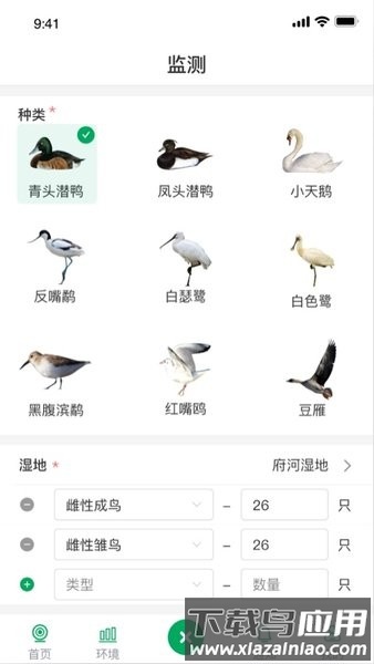 青头潜鸭手机版最新版截图3