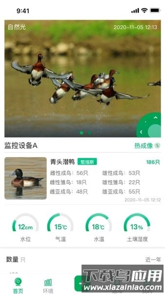 青头潜鸭手机版最新版截图4