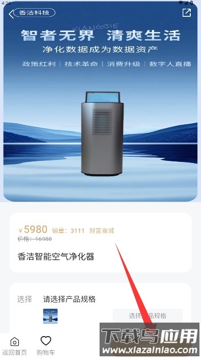 默默兑