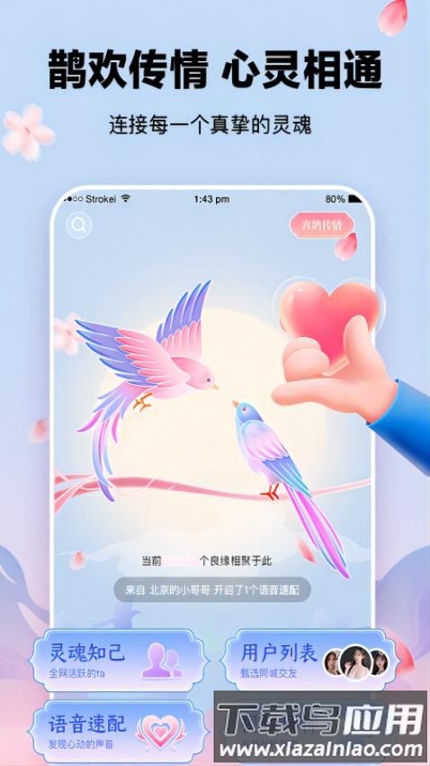 鹊欢截图2