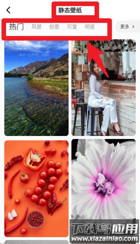 高清动态壁纸大全