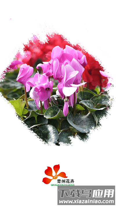 青州花卉平台app最新版截图2