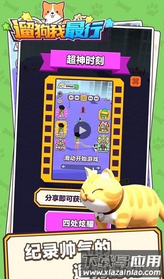 遛狗我最行最新版截图4