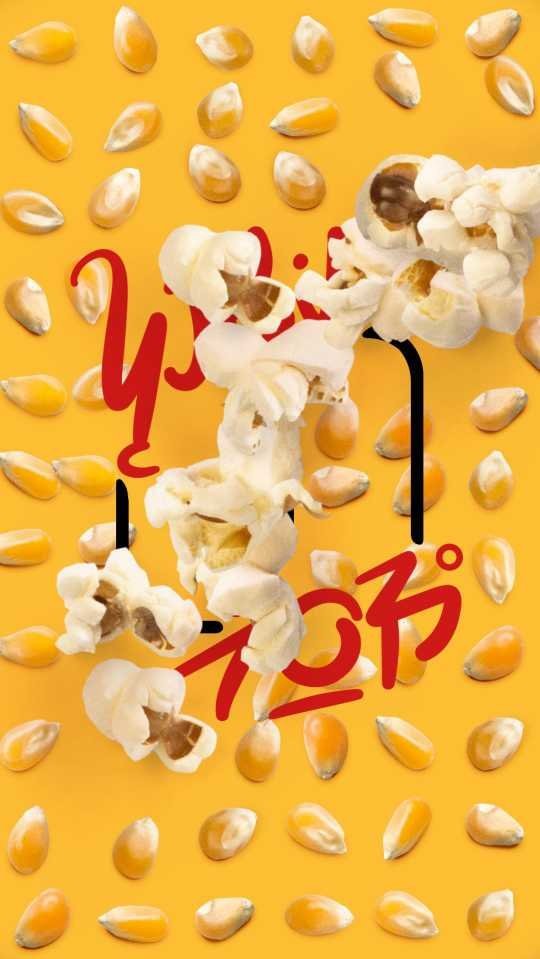 盛开的歌完整版截图