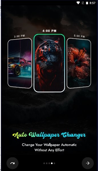 blackly软件最新版截图1