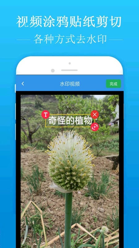 去水印吧破解版下载